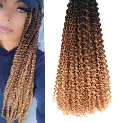 Braids Passion Twist Extensions